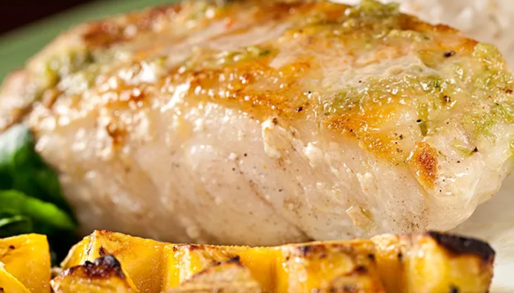 peixe tropical 1024x585