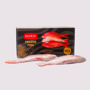 Peixe Inteiro Congelado Cioba Tipo Exportação